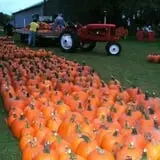 Heartland Farms Halloween Fun photo