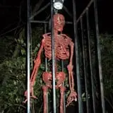 Dayton Scream Park photo