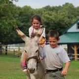 Berlin Orchards Pumpkins & Haywagon Rides photo
