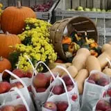 Berlin Orchards Pumpkins & Haywagon Rides photo