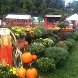 Berlin Orchards Pumpkins & Haywagon Rides photo