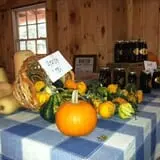 Berlin Orchards Pumpkins & Haywagon Rides photo