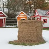 Berlin Orchards Pumpkins & Haywagon Rides photo