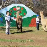 Berlin Orchards Pumpkins & Haywagon Rides photo