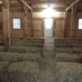 Berlin Orchards Pumpkins & Haywagon Rides photo