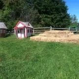 Berlin Orchards Pumpkins & Haywagon Rides photo