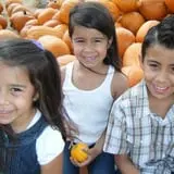 Old Time Christmas Tree Farm Pumpkin Patch photo