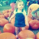 Old Time Christmas Tree Farm Pumpkin Patch photo