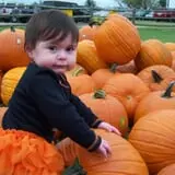 Old Time Christmas Tree Farm Pumpkin Patch photo