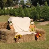 Old Time Christmas Tree Farm Pumpkin Patch photo