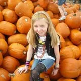Old Time Christmas Tree Farm Pumpkin Patch photo