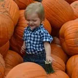 Old Time Christmas Tree Farm Pumpkin Patch photo