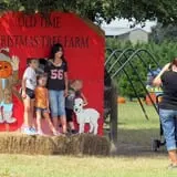 Old Time Christmas Tree Farm Pumpkin Patch photo