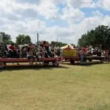 Old Time Christmas Tree Farm Pumpkin Patch photo