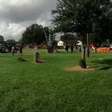 Old Time Christmas Tree Farm Pumpkin Patch photo