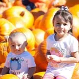 Old Time Christmas Tree Farm Pumpkin Patch photo