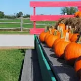 Old Time Christmas Tree Farm Pumpkin Patch photo