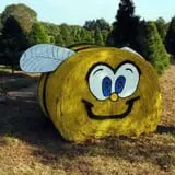 Old Time Christmas Tree Farm Pumpkin Patch photo