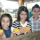 Old Time Christmas Tree Farm Pumpkin Patch photo