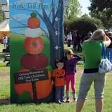 Old Time Christmas Tree Farm Pumpkin Patch photo