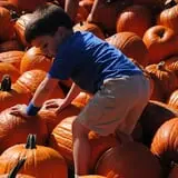Old Time Christmas Tree Farm Pumpkin Patch photo