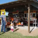Old Time Christmas Tree Farm Pumpkin Patch photo