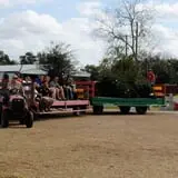Old Time Christmas Tree Farm Pumpkin Patch photo