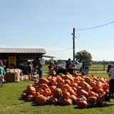 Old Time Christmas Tree Farm Pumpkin Patch photo