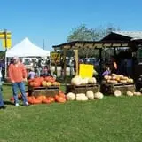 Old Time Christmas Tree Farm Pumpkin Patch photo