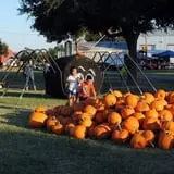 Old Time Christmas Tree Farm Pumpkin Patch photo