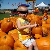 Old Time Christmas Tree Farm Pumpkin Patch photo