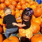 Old Time Christmas Tree Farm Pumpkin Patch photo