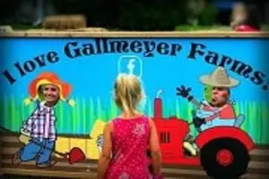 The Pumpkin Patch at Gallmeyer Farm
