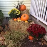 Meadowbrook Farm photo