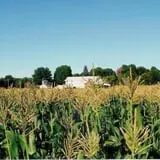 Meadowbrook Farm photo