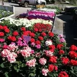 Meadowbrook Farm photo