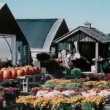 Meadowbrook Farm photo