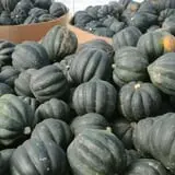 Meadowbrook Farm photo