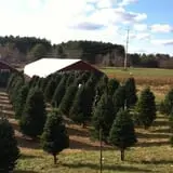 Meadowbrook Farm photo
