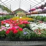 Meadowbrook Farm photo