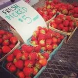 Meadowbrook Farm photo