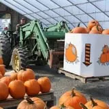 Meadowbrook Farm photo