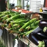 Meadowbrook Farm photo