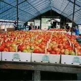 Meadowbrook Farm photo