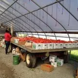 Meadowbrook Farm photo