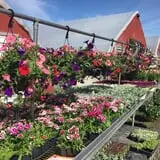 Meadowbrook Farm photo