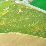 Grove City Gardens photo
