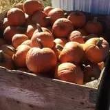 Grove City Gardens photo