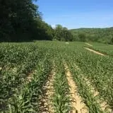 Dykeman Farm & Pumpkin Patch photo