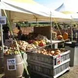 Dykeman Farm & Pumpkin Patch photo